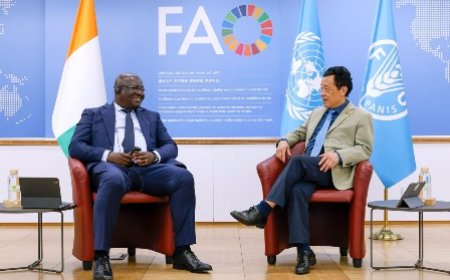 Productions vivrières : Bernard Kini Comoé sollicite l’appui de la FAO