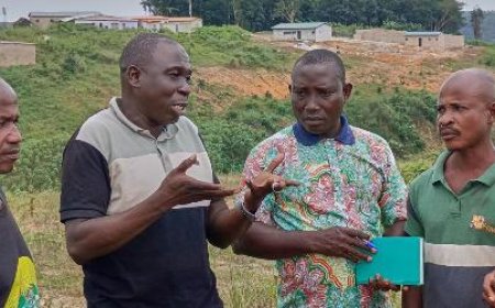 Litige foncier à Anyama : Mory Soumahoro conteste les 629 hectares revendiqués par SOPHIA