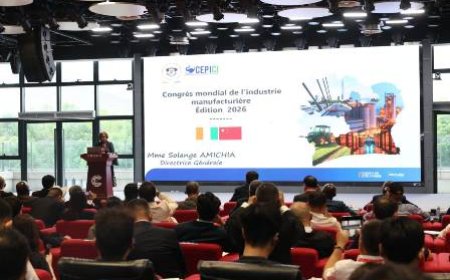 Industrialisation : Le CEPICI renforce la coopération économique avec la Chine