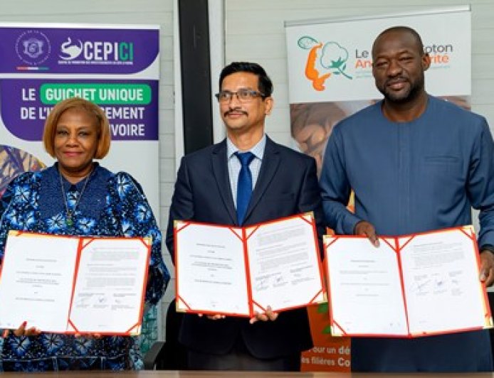 Filière cajou: Comment la Côte d'Ivoire veut capter 100% de la valeur de sa noix
