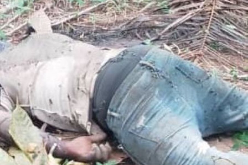 Gagnoa / Drame à Yopohue : Un jeune de 21 ans retrouvé égorgé dans son champ