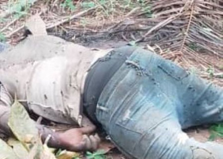 Gagnoa / Drame à Yopohue : Un jeune de 21 ans retrouvé égorgé dans son champ