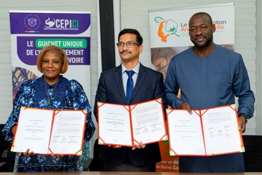 Filière cajou: Comment la Côte d'Ivoire veut capter 100% de la valeur de sa noix