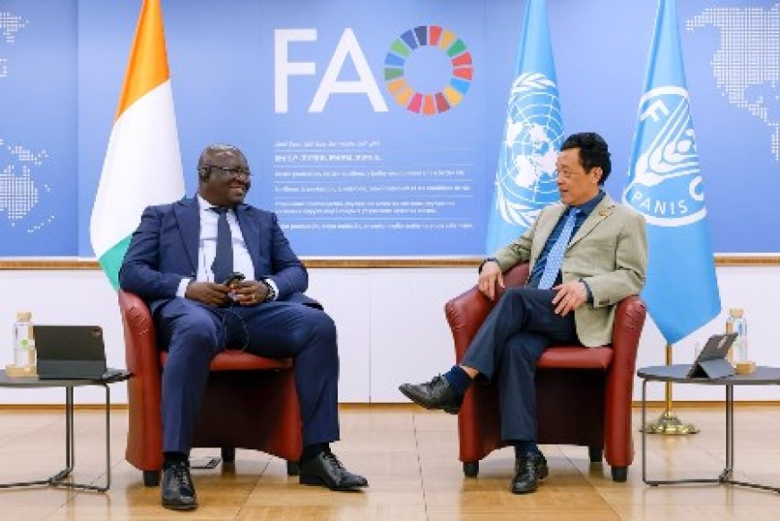 Productions vivrières : Bernard Kini Comoé sollicite l’appui de la FAO