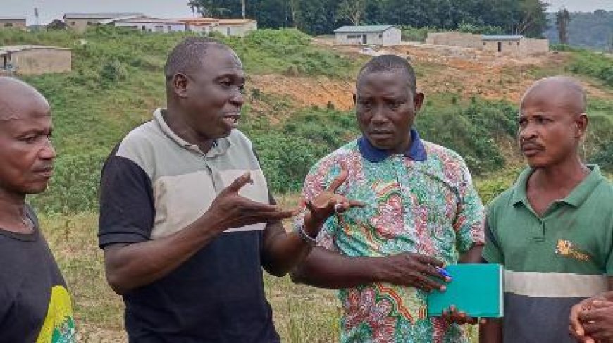 Litige foncier à Anyama : Mory Soumahoro conteste les 629 hectares revendiqués par SOPHIA