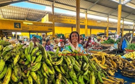 Protection sociale : Au marché Cocovico, les femmes réclament la CNPS