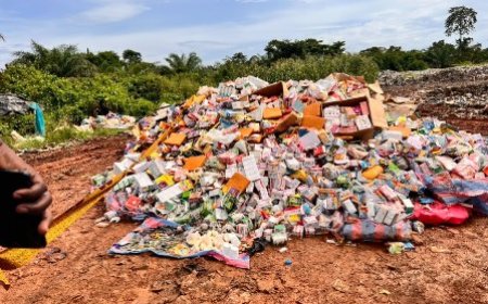 Tonkpi / Drogue et médicaments falsifiés : la DPSD détruit des produits évalués à plus de 77 millions FCFA