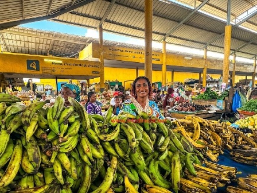 Protection sociale : Au marché Cocovico, les femmes réclament la CNPS